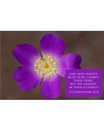And now abideth faith, hope, charity, these three; but the greatest of these is charity. (1 Corinthians 13:13) 

Artwork design features a sweet design of a purple flower accompanied by bible verse on purple.