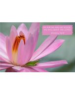 As for me and my house, we will serve the Lord. (Joshua 24:15) 

Artwork design features a frog on a water lily accompanied by bible verse on pink.
