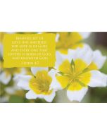 Beloved, let us love one another: for love is of God; and every one that loveth is born of God, and knoweth God. (1 John 4:7) 

Artwork design features golden yellow and white flowers accompanied by bible verse on yellow.