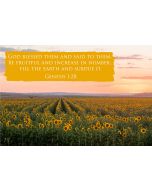 God said unto them, Be fruitful, and multiply, and replenish the earth, and subdue it. (Genesis 1:28) 

Artwork design features a superb design of a a field of sunflowers at sunset accompanied by bible verse on orange.
