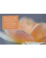 Great is the Lord, and greatly to be praised in the city of our God, in the mountain of his holiness. (Psalms 48:1) 

Artwork design features an elegant design of a orange flower accompanied by bible verse on orange.