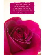 Greater love has no one than this, than to lay down one’s life for his friends. (John 15:13) 

Artwork design features a gorgeous design of a pink rose accompanied by bible verse on pink.