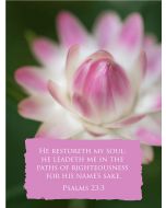 He restoreth my soul: he leadeth me in the paths of righteousness for his name's sake. (Psalms 23:3) 

Artwork design features a lovely design of a pink paper daisy flower accompanied by bible verse on pink.