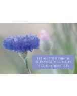 Let all your things be done with charity. (1 Corinthians 16:14) 

Artwork design features pastel blue bloom accompanied by bible verse on soft blue.