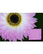 Serve the Lord with gladness: come before his presence with singing. (Psalms 100:2) 

Artwork design features a beautiful design of a pink daisy accompanied by bible verse on pink.