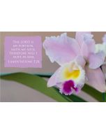 The Lord is my portion, saith my soul; therefore will I hope in him. (Lamentations 3:24) 

Artwork design features a gorgeous orchid accompanied by bible verse on mauve.
