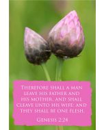 Therefore shall a man leave his father and his mother, and shall cleave unto his wife: and they shall be one flesh. (Genesis 2:24) 

Artwork design features a sweet design of two buds accompanied by bible verse on pink.