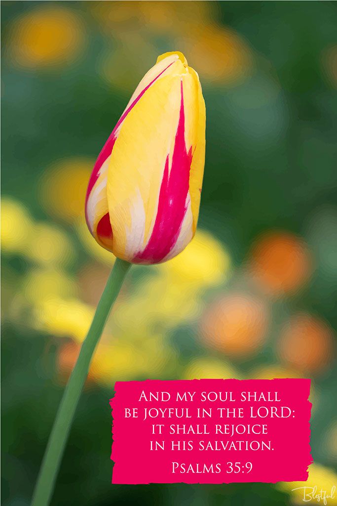 And My Soul Shall Be Joyful In The Lord (Psalm 35:9) - And my soul shall be joyful in the LORD: it shall rejoice in his salvation. (Psalms 35:9) 

Artwork design features a striking design of a yellow and red tulip accompanied by bible verse on red.