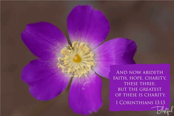 And Now Abideth Faith Hope Charity (1 Corinthians 13:13) - And now abideth faith, hope, charity, these three; but the greatest of these is charity. (1 Corinthians 13:13) 

Artwork design features a sweet design of a purple flower accompanied by bible verse on purple.