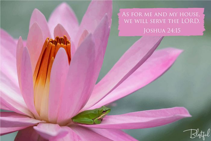 As For Me And My House I Will Serve The Lord (Joshua 24:15) - As for me and my house, we will serve the Lord. (Joshua 24:15) 

Artwork design features a frog on a water lily accompanied by bible verse on pink.