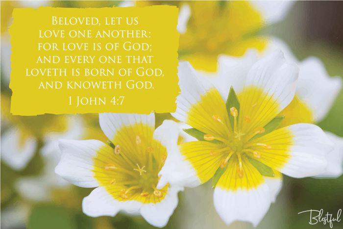 Beloved Let Us Love One Another (1 John 4:7) - Beloved, let us love one another: for love is of God; and every one that loveth is born of God, and knoweth God. (1 John 4:7) 

Artwork design features golden yellow and white flowers accompanied by bible verse on yellow.