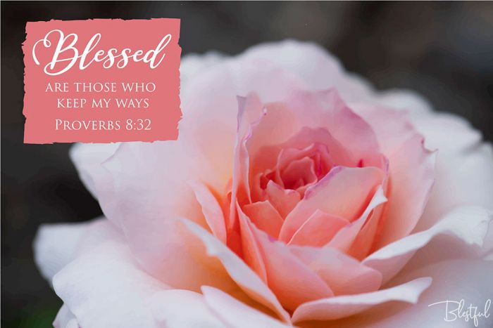 Blessed Are Those Who Keep My Ways (Proverbs 8:32) - Blessed are those who keep my ways. (Proverbs 8:32) 

Artwork design features a precious design of a peach flower accompanied by bible verse on peach.