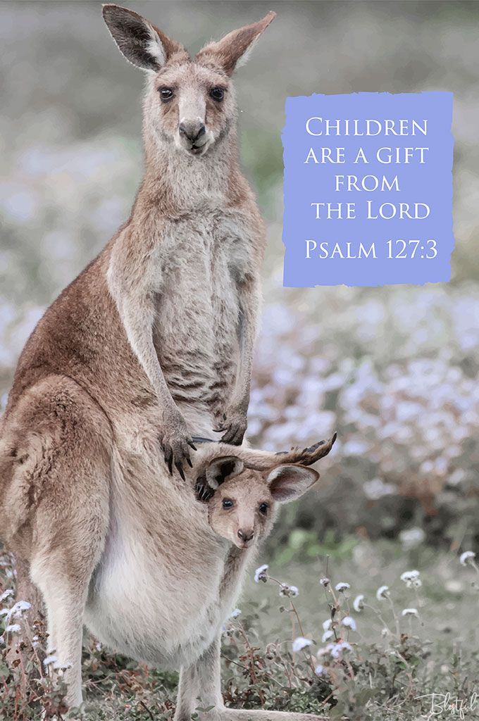 Children Are A Gift From The Lord (Psalm 127:3) - Children are a gift from the Lord. (Psalms 127:3) 

Artwork design features a gorgeous design of a kangaroo and joey accompanied by bible verse on mauve.