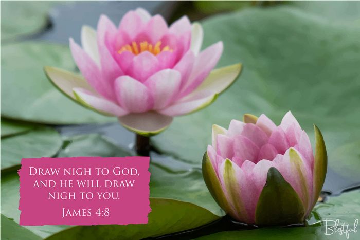 Draw Nigh To God And He Will Draw Nigh To You (James 4:8) - Draw nigh to God, and he will draw nigh to you. (James 4:8) 

Artwork design features a serene design of water lilies accompanied by bible verse on pink.