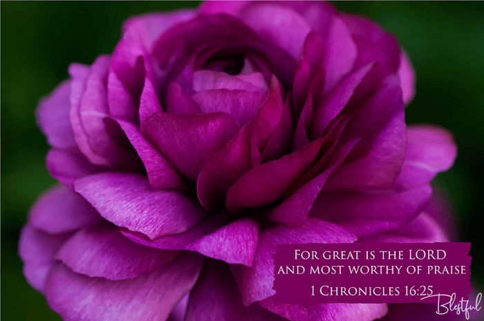For Great Is The Lord And Most Worthy Of Praise (1 Chronicles 16:25) - For great is the LORD and most worthy of praise. (1 Chronicles 16:25) 

Artwork design features a stunning design of a flower accompanied by bible verse on violet.