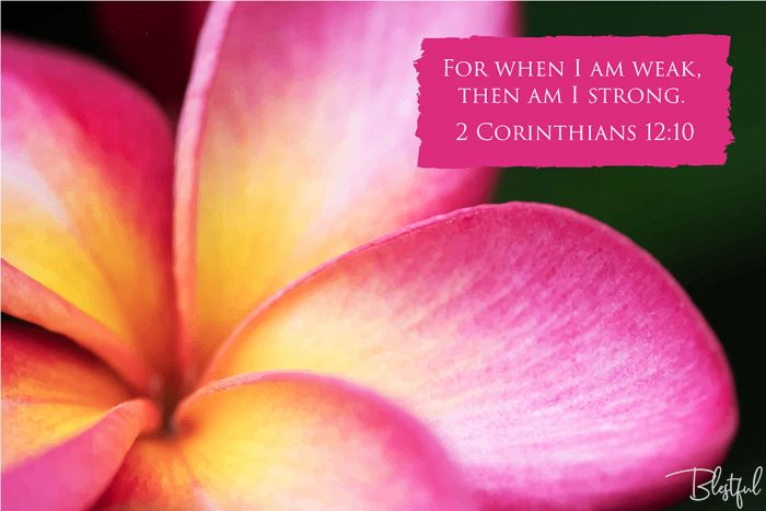 For When I Am Weak Then Am I Strong (2 Corinthians 12:10) - For when I am weak, then am I strong. (2 Corinthians 12:10) 

Artwork design features a tropical design of a pink and yellow frangipani flower accompanied by bible verse on pink.