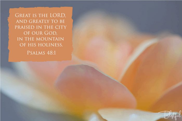 Great Is The Lord And Greatly To Be Praised In The City Of Our God (Psalm 48:1) - Great is the Lord, and greatly to be praised in the city of our God, in the mountain of his holiness. (Psalms 48:1) 

Artwork design features an elegant design of a orange flower accompanied by bible verse on orange.