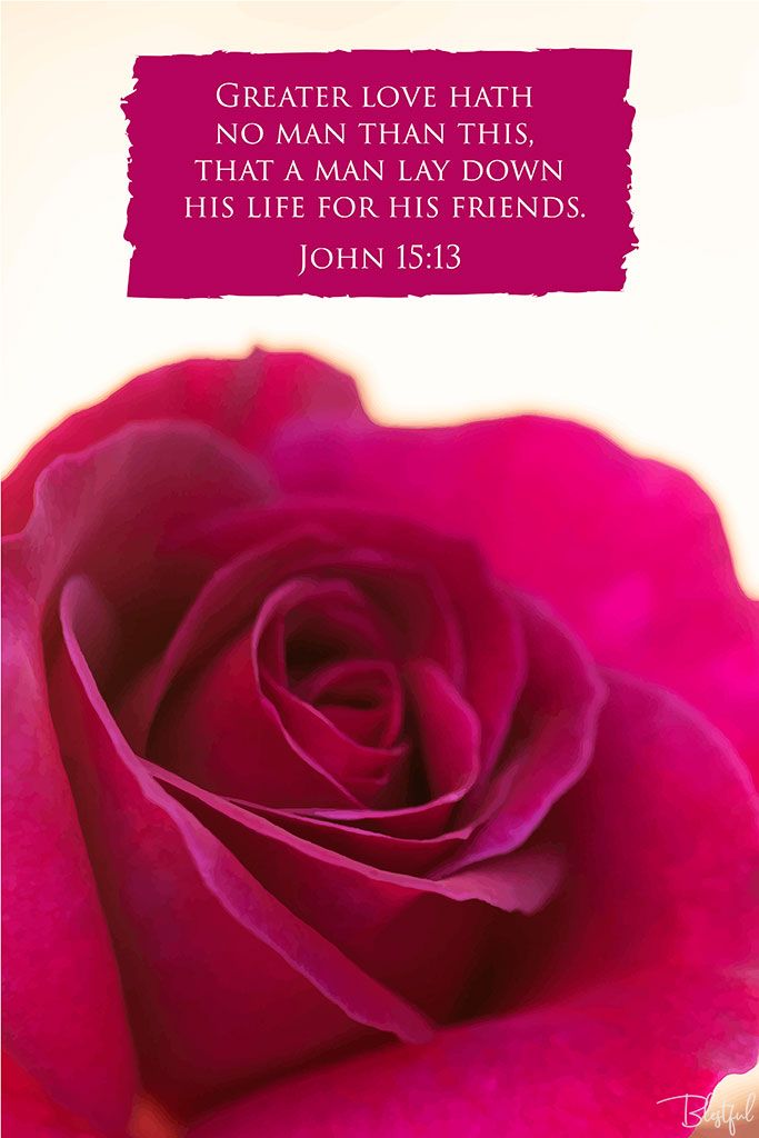 Greater Love Hath No Man Than This That A Man Lay Down His Life For His Friends (John 15:13) - Greater love has no one than this, than to lay down one’s life for his friends. (John 15:13) 

Artwork design features a gorgeous design of a pink rose accompanied by bible verse on pink.