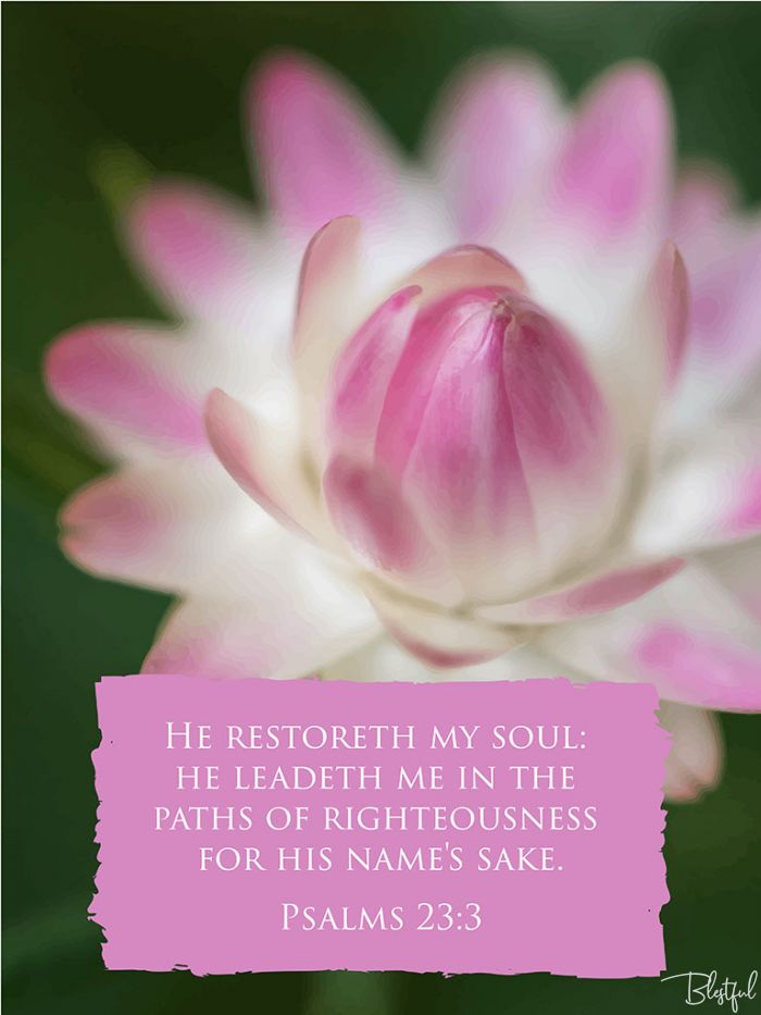 He Restoreth My Soul (Psalm 23:3) - He restoreth my soul: he leadeth me in the paths of righteousness for his name's sake. (Psalms 23:3) 

Artwork design features a lovely design of a pink paper daisy flower accompanied by bible verse on pink.