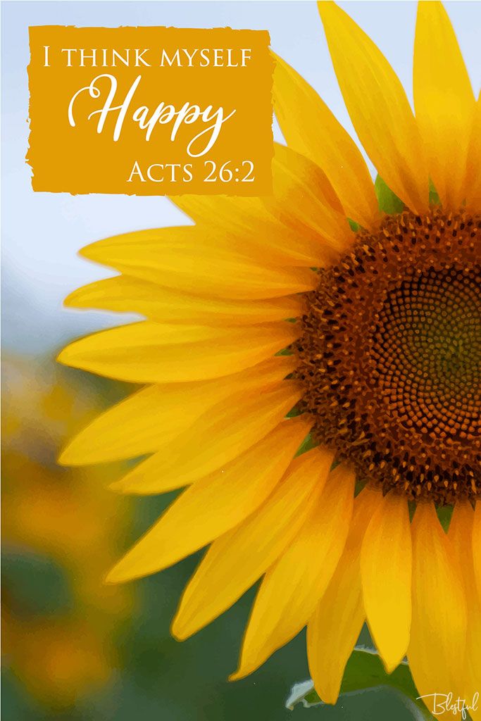 I Think Myself Happy (Acts 26:2) - I think myself happy (Acts 26:2) 

Artwork design features a cheerful design of a yellow sunflower accompanied by bible verse on yellow.