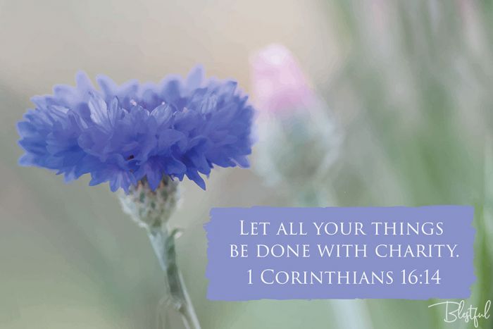 Let All Your Things Be Done With Charity (1 Corinthians 16:14) - Let all your things be done with charity. (1 Corinthians 16:14) 

Artwork design features pastel blue bloom accompanied by bible verse on soft blue.