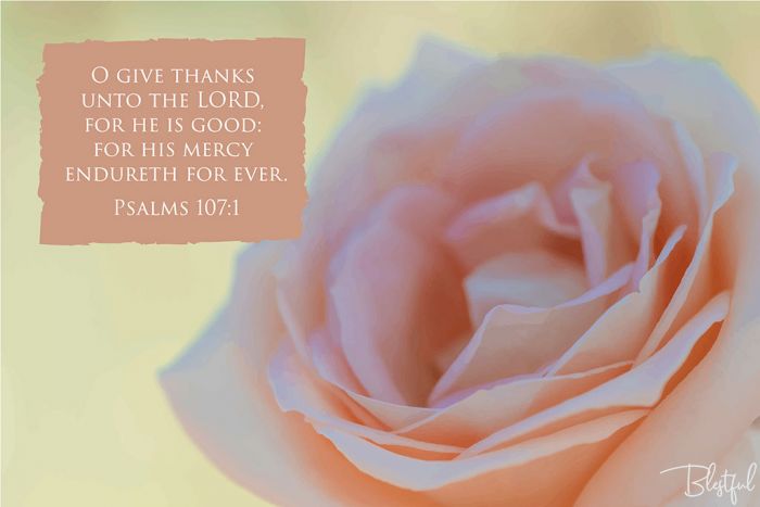 O Give Thanks Unto The Lord For He Is Good (Psalm 107:1) - O give thanks unto the LORD, for he is good: for his mercy endureth for ever. (Psalms 107:1 

Artwork design features an elegant design of a natural rose accompanied by bible verse on natural beige.