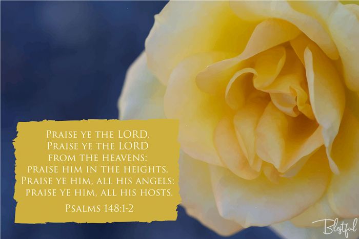 Praise Ye The Lord Praise Ye The Lord From The Heavens (Psalm 148:1-2) - Praise ye the Lord. Praise ye the Lord from the heavens: praise him in the heights. Praise ye him, all his angels: praise ye him, all his hosts. (Psalms 148:1-2) 

Artwork design features a regal design of a yellow flower accompanied by bible verse on g