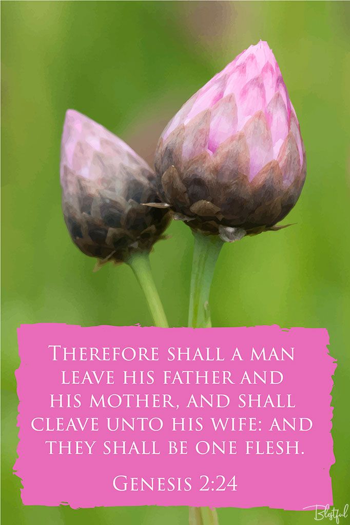 Therefore Shall A Man Leave His Father And His Mother And Shall Cleave Unto His Wife (Genesis 2:24) - Therefore shall a man leave his father and his mother, and shall cleave unto his wife: and they shall be one flesh. (Genesis 2:24) 

Artwork design features a sweet design of two buds accompanied by bible verse on pink.