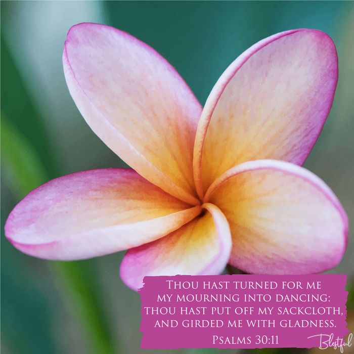 Thou Hast Turned For Me My Mourning Into Dancing (Psalm 30:11) - Thou hast turned for me my mourning into dancing: thou hast put off my sackcloth, and girded me with gladness. (Psalms 30:11) 

Artwork design features an artistic design of a frangipani flower accompanied by bible verse on pink.