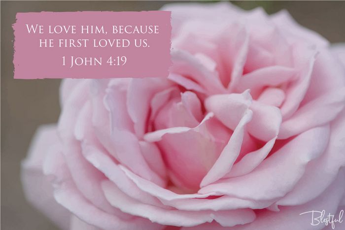 We Love Him, Because He First Loved Us (1 John 4:19) - We love him, because he first loved us. (1 John 4:19) 

Artwork design features gorgeous soft pink rose accompanied by bible verse on pastel pink.